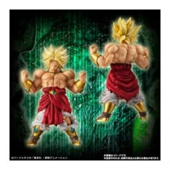 Bandai HG Dragon Ball Z Broly Perfect Set TamashiWeb Exclusive -Negozio Di Modellismo bandai hg dragon ball z broly perfect set tamashiweb exclusive 3