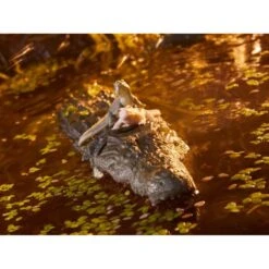 Hasbro G.I. Joe Classified Series Croc Master & Fiona 17 Hasbro G.I. Joe Classified Series Croc Master & Fiona -Negozio Di Modellismo hasbro gi joe classified series croc master fiona 7