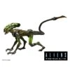 Neca Aliens Fireteam Elite Burster Alien