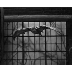 Neca Universal Monsters Ultimate Dracula Carfax Abbey -Negozio Di Modellismo neca universal monsters ultimate dracula carfax abbey 13